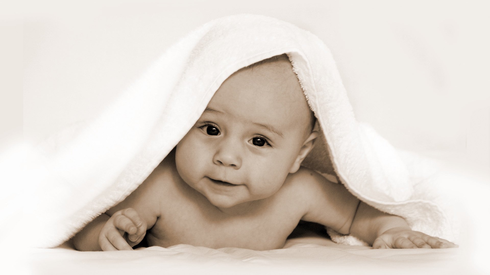 捐卵代怀试管婴儿冷冻胚胎成功率